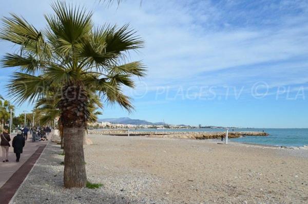 Grand Studio Tres Agreable Avec Bar, Cuisine Et Terrasse Cagnes-sur-Mer Exteriör bild
