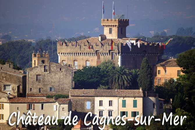 Grand Studio Tres Agreable Avec Bar, Cuisine Et Terrasse Cagnes-sur-Mer Exteriör bild